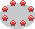 Fairy Circle